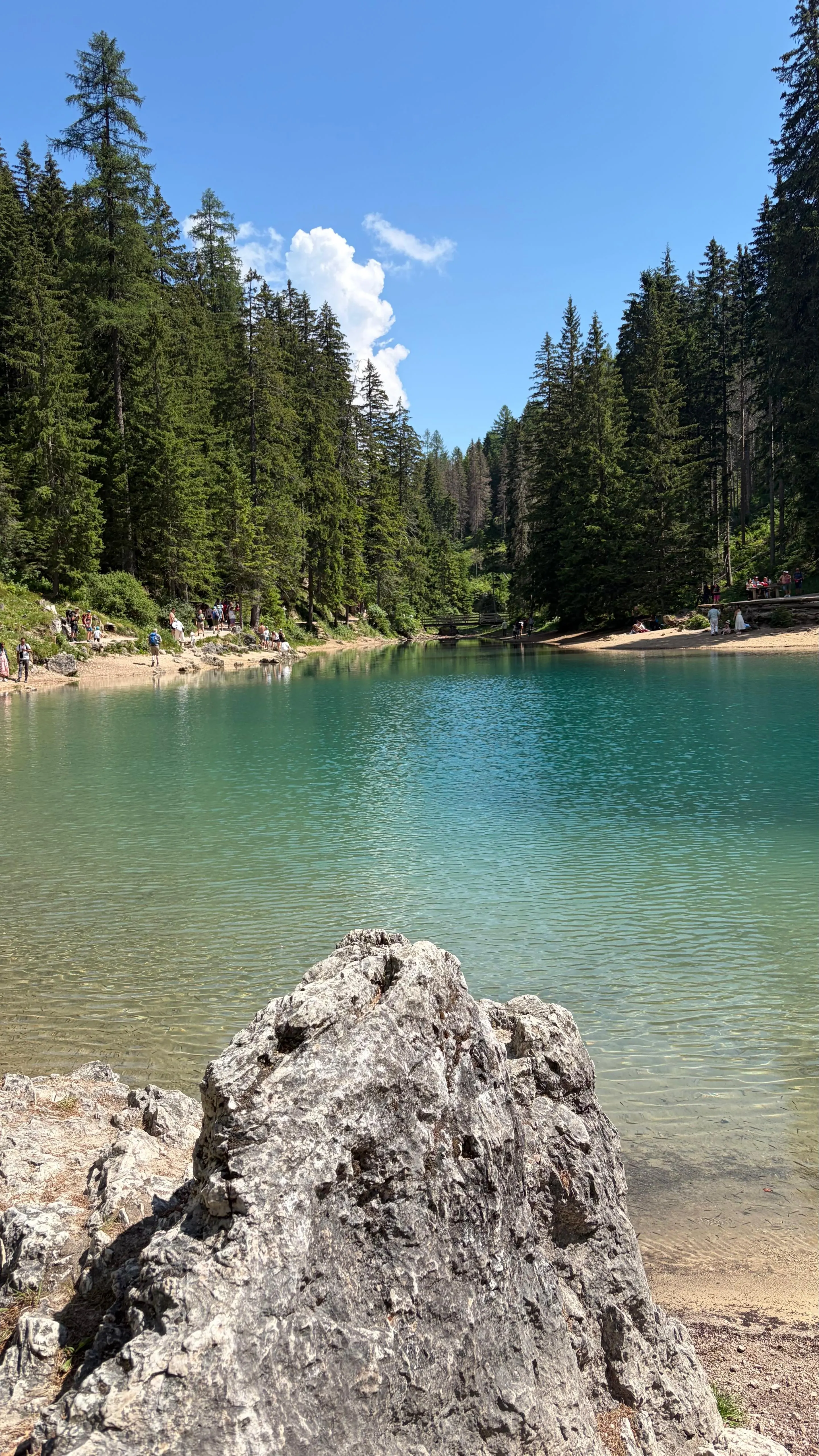 Dolomiti